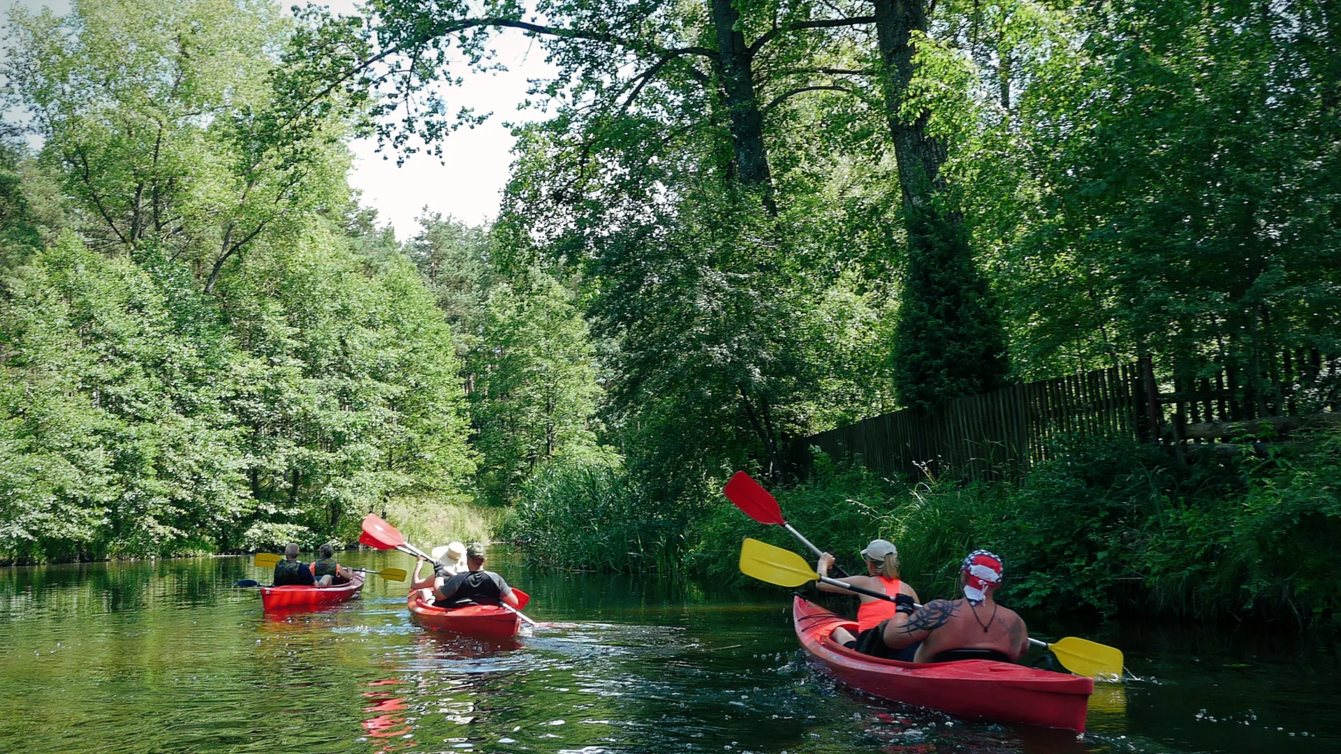 Kajaki płynące spokojną rzeką wśród zielonych zadrzewień nadrzecznych