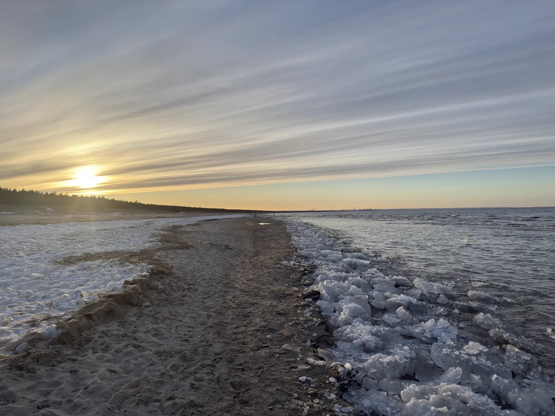 Pusta plaża na Wyspie Sobieszewskiej zimą