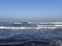 Plaża Bałtyku na Wyspie Sobieszewskiej – szeroka piaszczysta plaża nad morzem